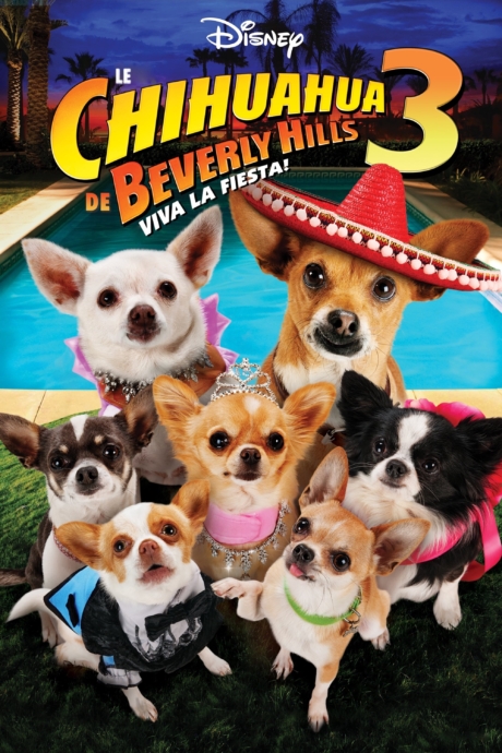 Beverly Hills Chihuahua 3: Viva la Fiesta! คุณหมาไฮโซ โกบ้านนอก ภาค 3 (2012)