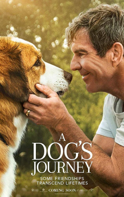 A Dogs Journey 2 หมา เป้าหมาย และเด็กชายของผม ภาค 2 (2019) Poster