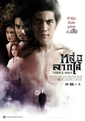 หล่อลากไส้ Tiger and Wolf (2013)