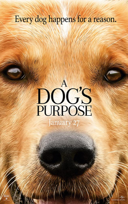 A Dogs Purpose หมา เป้าหมาย และเด็กชายของผม (2017)