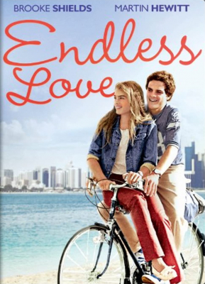 Endless Love วุ่นรักไม่รู้จบ (1981) Poster