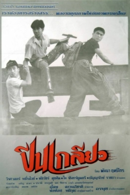 ปีนเกลียว 29 Production 1 (1993) Poster