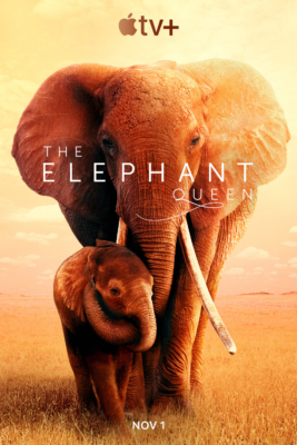 The Elephant Queen อัศจรรย์ราชินีแห่งช้าง (2019) Poster