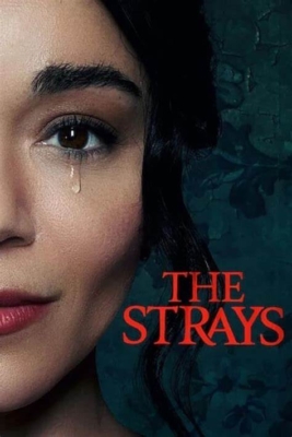 The Strays คนหลงทาง (2023)