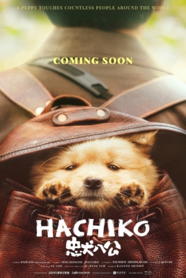 Hachiko (2023) ซับไทย Poster