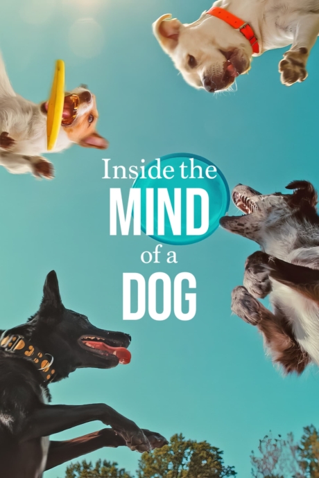 Inside the Mind of a Dog อ่านใจสุนัข (2024) Poster