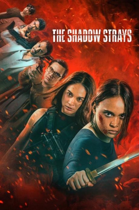 The Shadow Strays นักฆ่าเงาล่าทรชน (2024) Poster